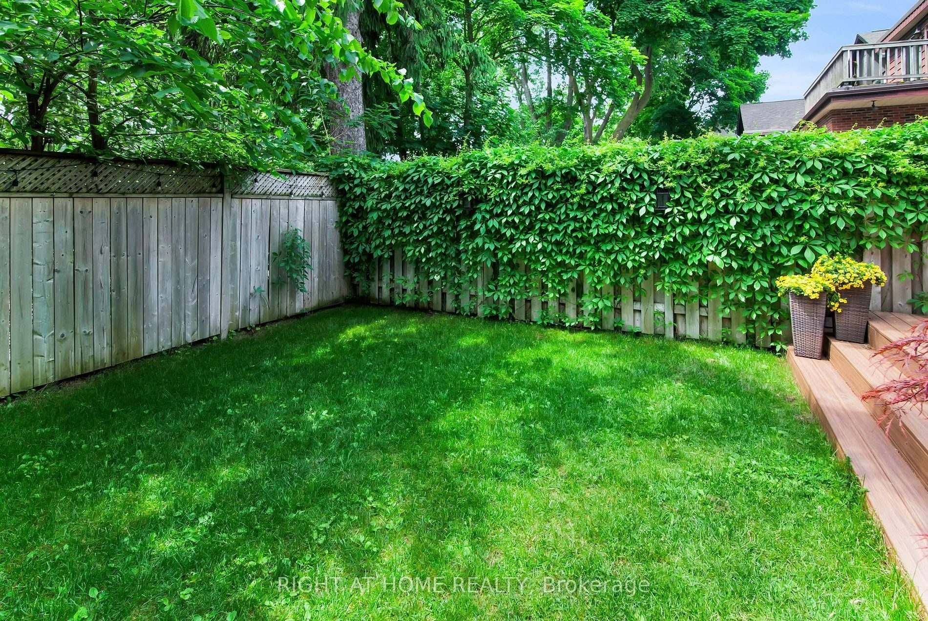 The backyard at 39 Melrose Avenue — fenced, green and private, with deck steps